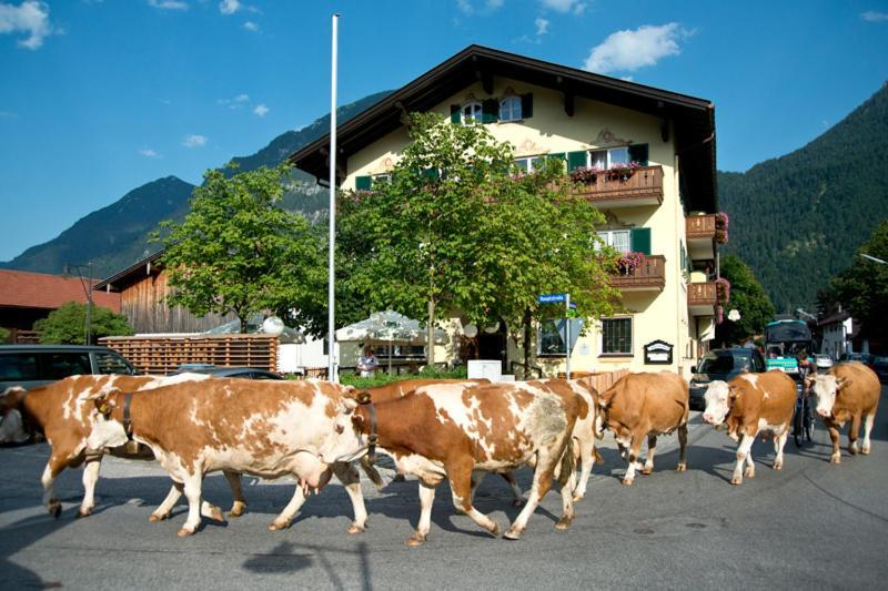 Hotel Gasthof Alter Wirt Farchant Eksteriør billede
